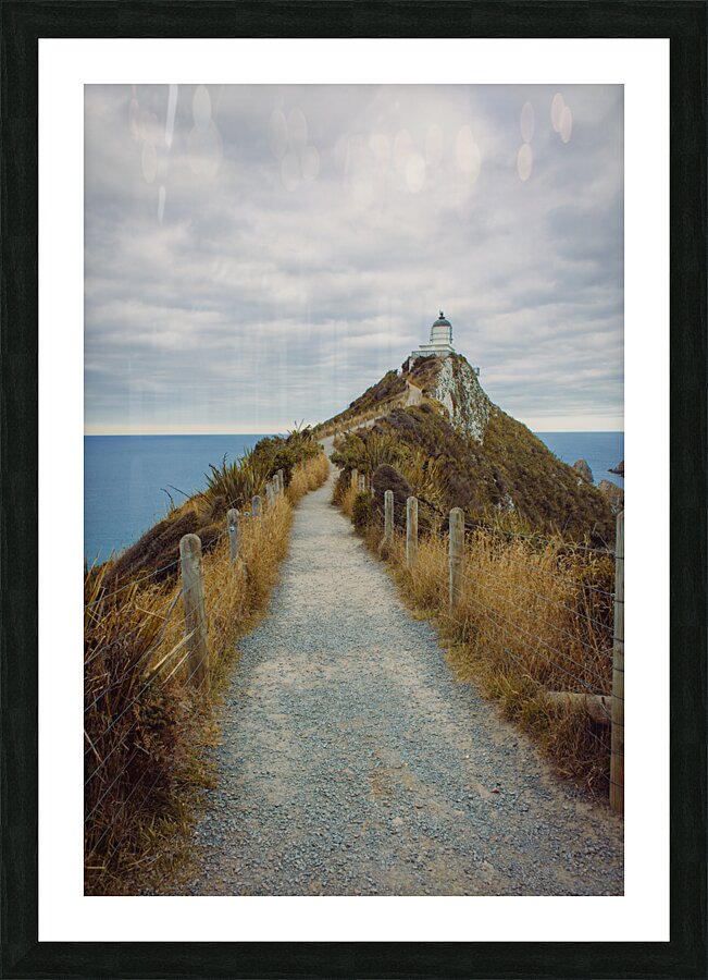 Vertical Nugget point lighthouse Picture Frame print