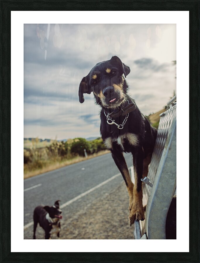 Chief Picture Frame print