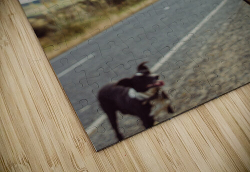 Chief Lauren Maria Photo   Films puzzle