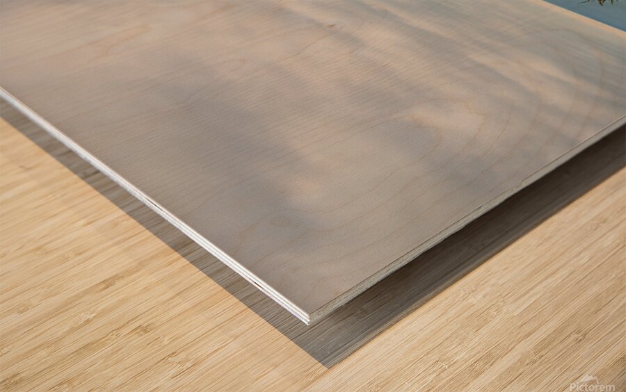 Vertical Nugget point lighthouse Wood print