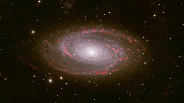 M81 Bode Galaxy Digital Download