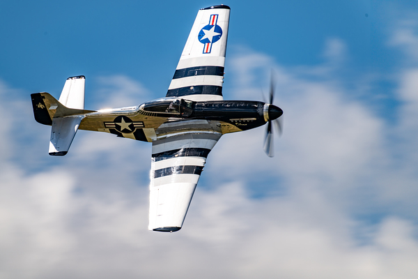 North American Aviation P-51D Mustang - Quick Silver Digital Download