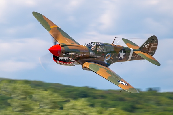 Curtiss P-40 Warhawk Téléchargement Numérique