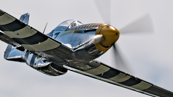 P-51 Mustang - Bald Eagle - Speed and Power Digital Download