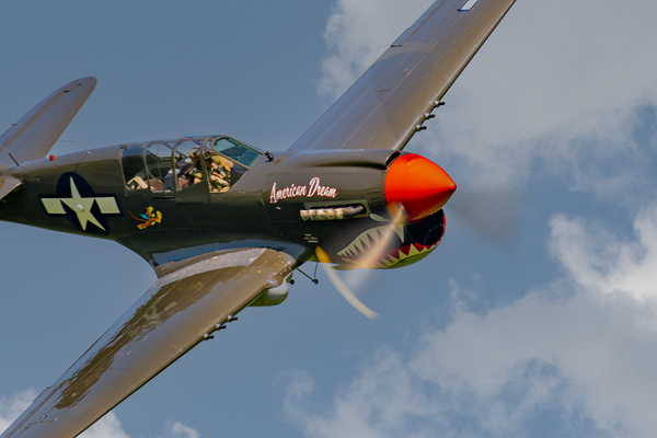Curtiss P-40 Warhawk - American Dream Téléchargement Numérique