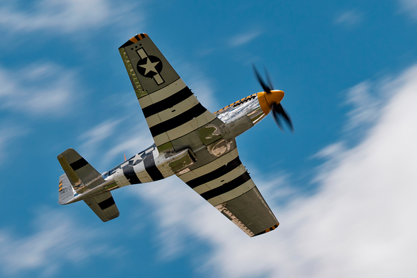 North American Aviation P-51 Mustang Bald Eagle Digital Download