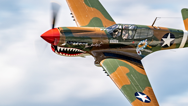 Curtiss P-40 WarHawk Digital Download