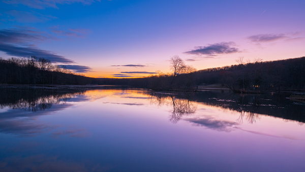 The Coming Dawn Téléchargement Numérique