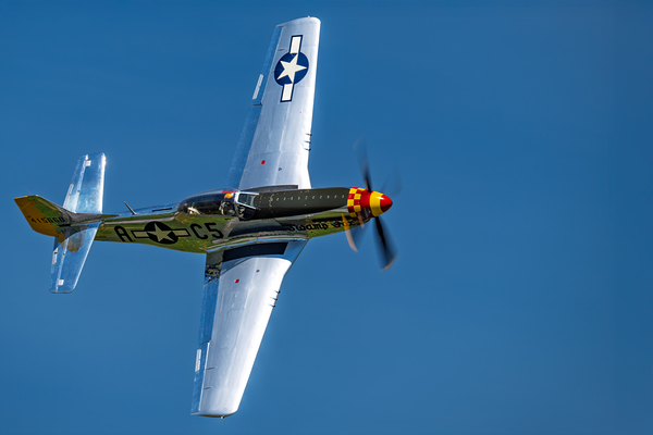 P-51D Mustang - Swamp Fox Téléchargement Numérique