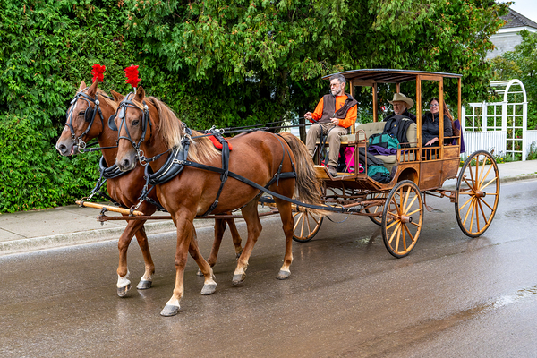 Horse and Carriage on Mackinac Island Téléchargement Numérique