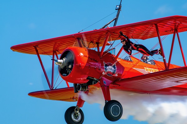 Flying Circus Digital Download