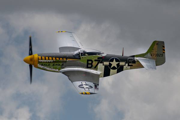 North American Aviation P-51D Mustang - Bald Eagle Digital Download
