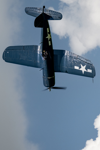 F4-U  FG-1D Corsair Digital Download