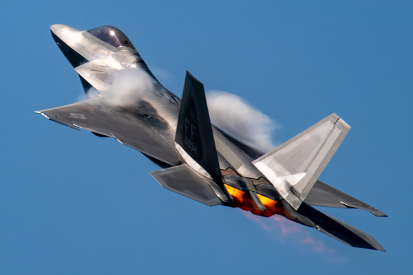Lockheed-Martin USAF F-22 Raptor Digital Download