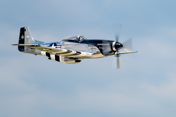 North American Aviation P-51D Mustang - Quick Silver Digital Download
