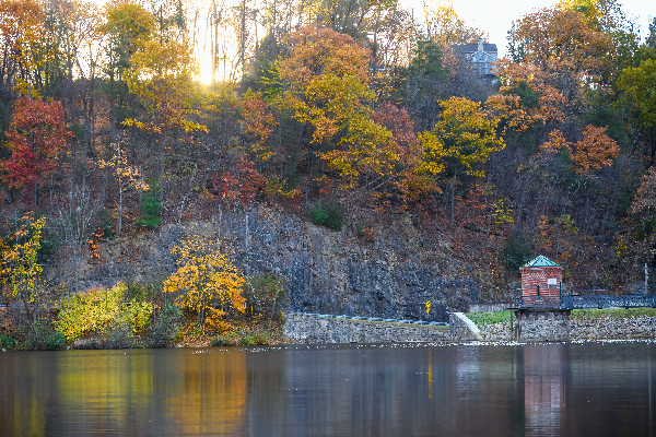 An autumn morning at the lake Digital Download