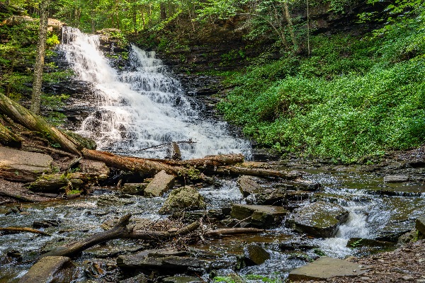 Waterfall in the Deep Forest Digital Download