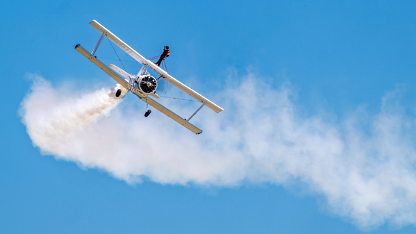 Grumman C-164 Ag Cat  and a Daring WingWalker.  Digital Download