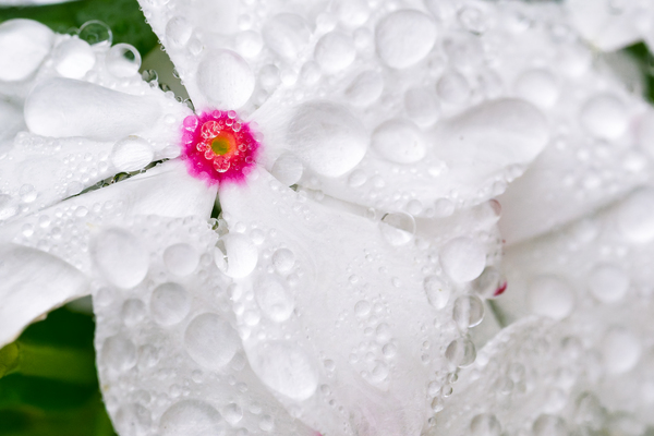 After The Storm Digital Download