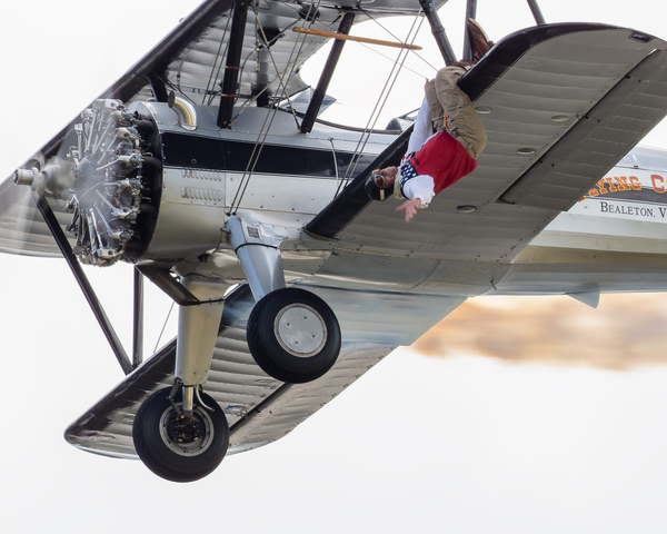 Flying Circus Digital Download