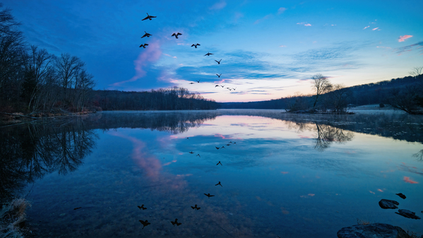 The World Awakes Téléchargement Numérique