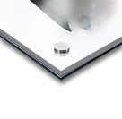 F-35 Lightning II Acrylic print