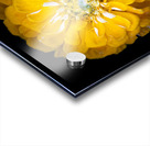 Yellow Zinnia Impression Acrylique