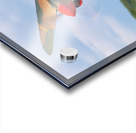 Curtiss P-40 Warhawk Impression Acrylique