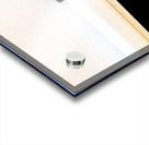 Black and White Acrylic print