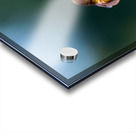 Hummingbirds Impression Acrylique