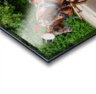 Horse and Carriage on Mackinac Island Impression Acrylique