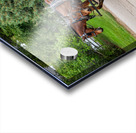 A Pair of Horses pulling a Carriage Acrylic print