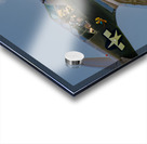 Curtiss P-40 Warhawk - American Dream Impression Acrylique