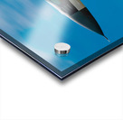 United States Air Force F-16  Viper Impression Acrylique