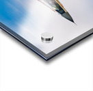 United States Air Force F-16 Viper Acrylic print