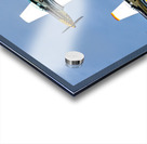 Jack Aces Flight Demonstration Team Acrylic print