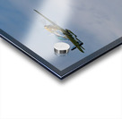 Flight Demonstration Team - Jack Aces Acrylic print