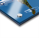P-51D Mustang - Swamp Fox Impression Acrylique