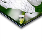 After The Storm Acrylic print