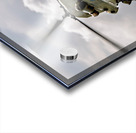 US Army - CH-47 - Chinook Acrylic print