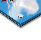 Grumman C-164 Ag Cat  and a Daring WingWalker.  Acrylic print