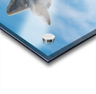 Lockheed Martin F-22 Raptor Acrylic print