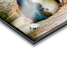 Hello There Acrylic print