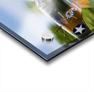 Curtiss P-40 WarHawk High Speed Pass Acrylic print