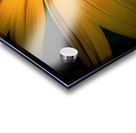 Yellow Daisy Impression Acrylique