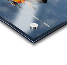 Eurocopter MH-65 Dolphin Impression Acrylique