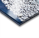 Snow Geese Migration Acrylic print