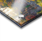 An autumn morning at the lake Acrylic print