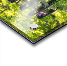 Fence and Flowers Acrylic print