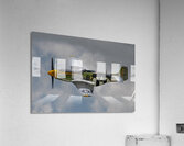 North American Aviation P-51D Mustang - Bald Eagle Acrylic Print